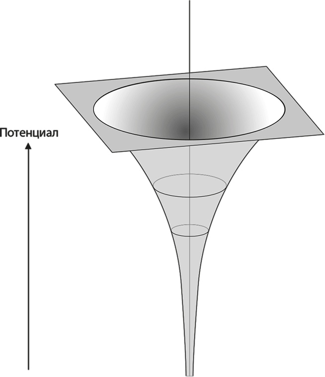 Иллюстрация к книге — Квантовая вселенная. Как устроено то, что мы не можем увидеть [i_042.jpg]