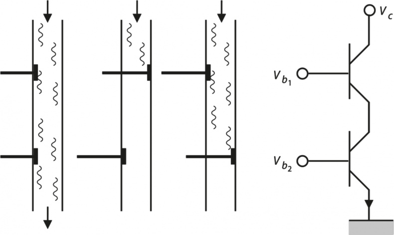 Иллюстрация к книге — Квантовая вселенная. Как устроено то, что мы не можем увидеть [i_061.jpg]
