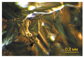 Иллюстрация к книге — Неизвестный алмаз. "Артефакты" технологии [i_041.jpg]