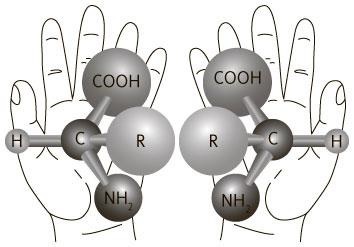 Иллюстрация к книге — Руководитель проектов. Все навыки, необходимые для работы [pic_02.jpg]