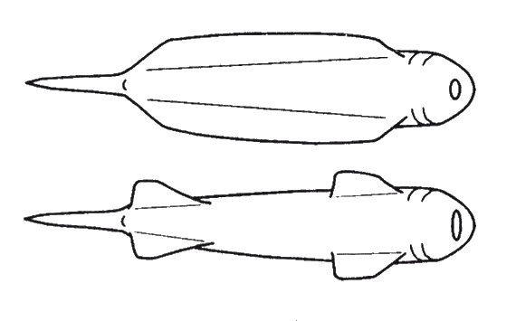 Иллюстрация к книге — Странности нашей эволюции [i_006.jpg]