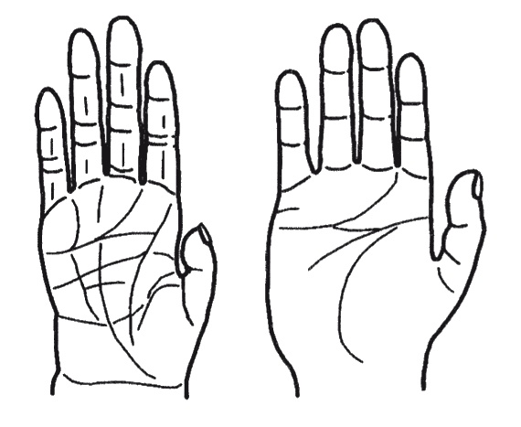 Иллюстрация к книге — Странности нашей эволюции [i_017.jpg]