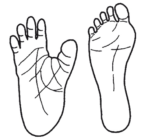 Иллюстрация к книге — Странности нашей эволюции [i_020.jpg]