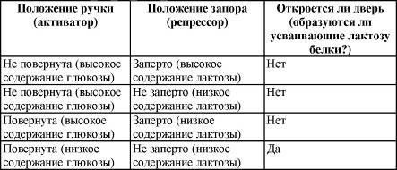 Иллюстрация к книге — Пять нерешенных проблем науки [i_040.jpg]