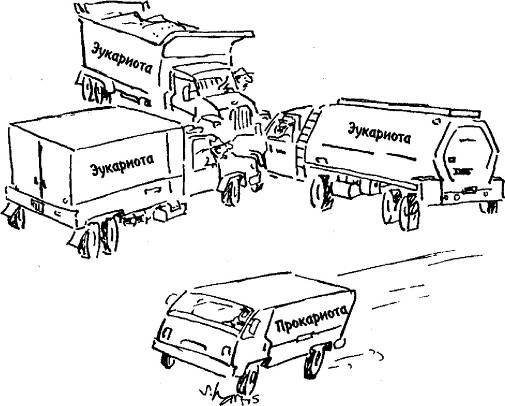 Иллюстрация к книге — Пять нерешенных проблем науки [i_042.jpg]