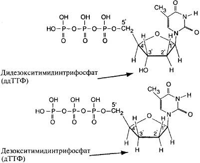 Иллюстрация к книге — Пять нерешенных проблем науки [i_048.jpg]