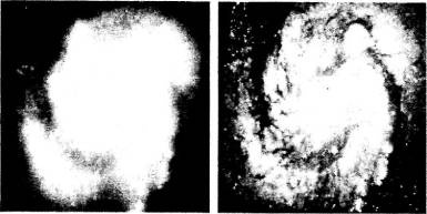 Иллюстрация к книге — Пять нерешенных проблем науки [i_066.jpg]