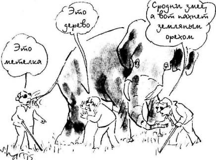 Иллюстрация к книге — Пять нерешенных проблем науки [i_081.jpg]