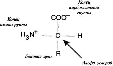 Иллюстрация к книге — Пять нерешенных проблем науки [i_085.jpg]