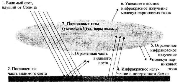 Иллюстрация к книге — Пять нерешенных проблем науки [i_090.jpg]