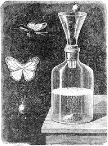 Иллюстрация к книге — Веселые научные опыты и эксперименты [i_017.jpg]