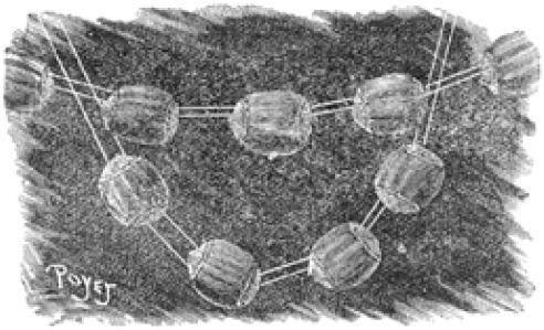 Иллюстрация к книге — Веселые научные опыты и эксперименты [i_029.jpg]