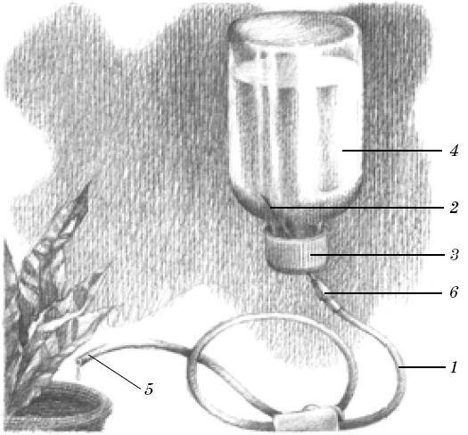 Иллюстрация к книге — Веселые научные опыты и эксперименты [i_038.jpg]