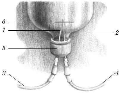 Иллюстрация к книге — Веселые научные опыты и эксперименты [i_040.jpg]
