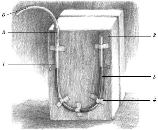 Иллюстрация к книге — Веселые научные опыты и эксперименты [i_041.jpg]