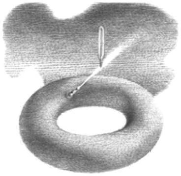 Иллюстрация к книге — Веселые научные опыты и эксперименты [i_046.jpg]