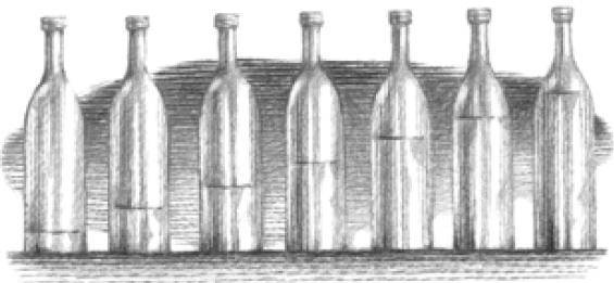 Иллюстрация к книге — Веселые научные опыты и эксперименты [i_055.jpg]