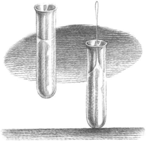 Иллюстрация к книге — Веселые научные опыты и эксперименты [i_068.jpg]