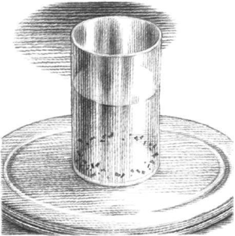 Иллюстрация к книге — Веселые научные опыты и эксперименты [i_074.jpg]