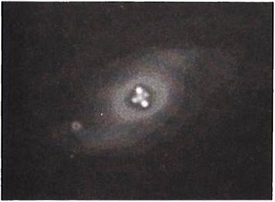 Иллюстрация к книге — Эволюция Вселенной и происхождение жизни [img1824.jpg]