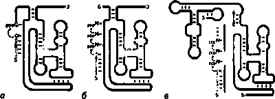 Иллюстрация к книге — Эволюция Вселенной и происхождение жизни [img1f6d.jpg]