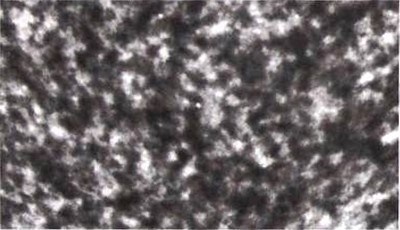 Иллюстрация к книге — Эволюция Вселенной и происхождение жизни [img4e7e.jpg]