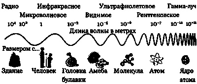 Иллюстрация к книге — Эволюция Вселенной и происхождение жизни [img51d8.jpg]