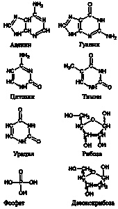 Иллюстрация к книге — Эволюция Вселенной и происхождение жизни [img5e5a.jpg]