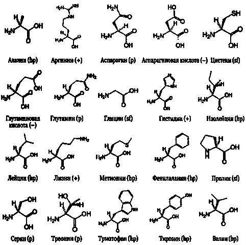 Иллюстрация к книге — Эволюция Вселенной и происхождение жизни [img70d1.jpg]