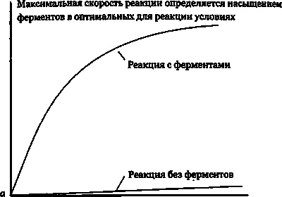 Иллюстрация к книге — Эволюция Вселенной и происхождение жизни [img74a7.jpg]