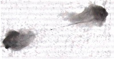 Иллюстрация к книге — Эволюция Вселенной и происхождение жизни [img8518.jpg]