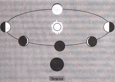 Иллюстрация к книге — Эволюция Вселенной и происхождение жизни [img8ad5.jpg]