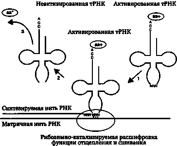 Иллюстрация к книге — Эволюция Вселенной и происхождение жизни [imga2bf.jpg]
