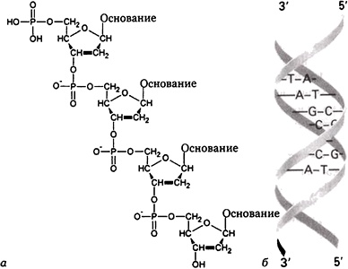 Иллюстрация к книге — Эволюция Вселенной и происхождение жизни [imgba6e.jpg]