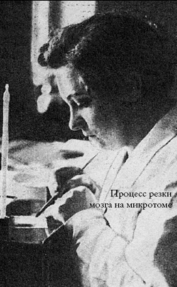 Иллюстрация к книге — Мозг отправьте по адресу... [i_004.jpg]