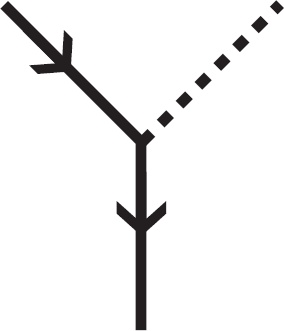 Иллюстрация к книге — Космический ландшафт. Теория струн и иллюзия разумного замысла Вселенной [_10.jpg]