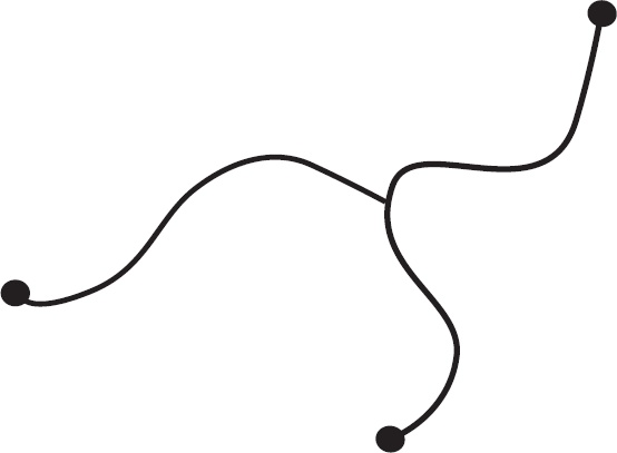 Иллюстрация к книге — Космический ландшафт. Теория струн и иллюзия разумного замысла Вселенной [_49.jpg]