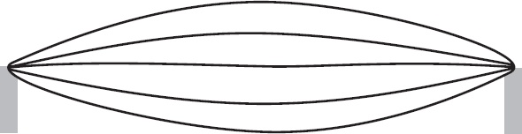 Иллюстрация к книге — Космический ландшафт. Теория струн и иллюзия разумного замысла Вселенной [_59.jpg]