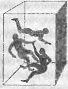 Иллюстрация к книге — Битва при черной дыре. Мое сражение со Стивеном Хокингом за мир, безопасный для квантовой механики [i_012.jpg]