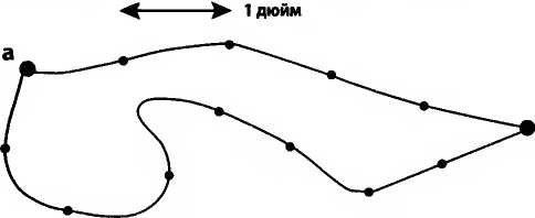 Иллюстрация к книге — Битва при черной дыре. Мое сражение со Стивеном Хокингом за мир, безопасный для квантовой механики [i_031.jpg]