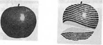 Иллюстрация к книге — Битва при черной дыре. Мое сражение со Стивеном Хокингом за мир, безопасный для квантовой механики [i_036.jpg]