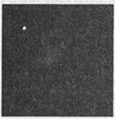 Иллюстрация к книге — Битва при черной дыре. Мое сражение со Стивеном Хокингом за мир, безопасный для квантовой механики [i_047.jpg]