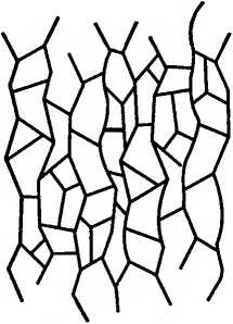 Иллюстрация к книге — Битва при черной дыре. Мое сражение со Стивеном Хокингом за мир, безопасный для квантовой механики [i_066.jpg]