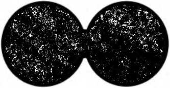 Иллюстрация к книге — Битва при черной дыре. Мое сражение со Стивеном Хокингом за мир, безопасный для квантовой механики [i_068.jpg]