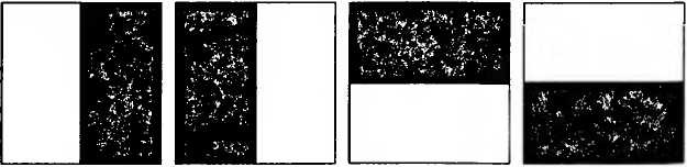 Иллюстрация к книге — Битва при черной дыре. Мое сражение со Стивеном Хокингом за мир, безопасный для квантовой механики [i_074.jpg]