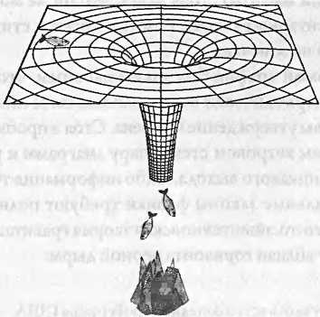 Иллюстрация к книге — Битва при черной дыре. Мое сражение со Стивеном Хокингом за мир, безопасный для квантовой механики [i_092.jpg]