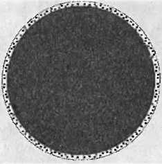 Иллюстрация к книге — Битва при черной дыре. Мое сражение со Стивеном Хокингом за мир, безопасный для квантовой механики [i_097.jpg]