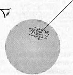 Иллюстрация к книге — Битва при черной дыре. Мое сражение со Стивеном Хокингом за мир, безопасный для квантовой механики [i_107.jpg]