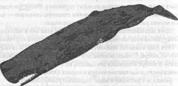 Иллюстрация к книге — Битва при черной дыре. Мое сражение со Стивеном Хокингом за мир, безопасный для квантовой механики [i_114.jpg]