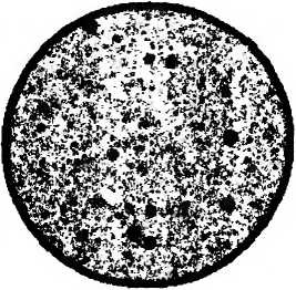 Иллюстрация к книге — Битва при черной дыре. Мое сражение со Стивеном Хокингом за мир, безопасный для квантовой механики [i_126.jpg]